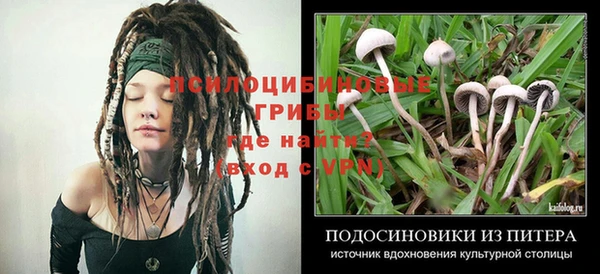 мдпв Балабаново