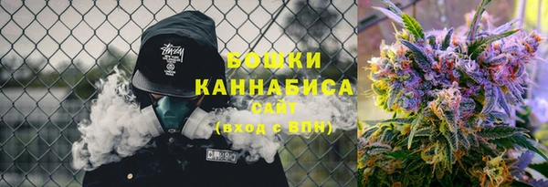 сатива Белоозёрский
